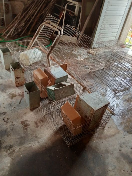 4-Compartment Rabbit Hutch479892474451077121