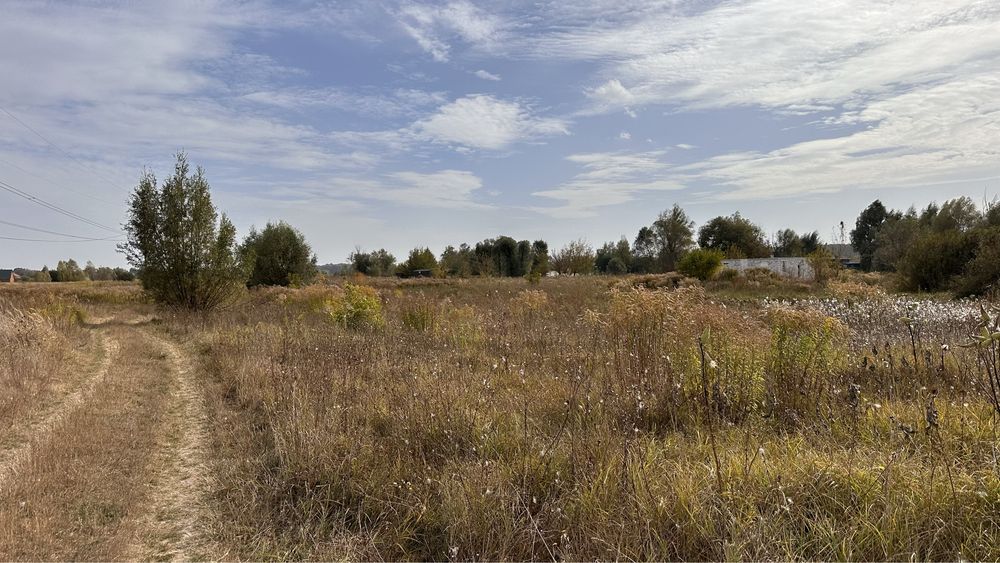 С. Білогородка , ділянки у Києво-Святошинський район.