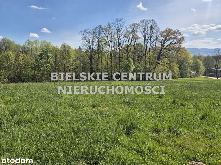 Działka, Mazańcowice