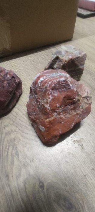 Red jaspis czerwony wodny akwarium