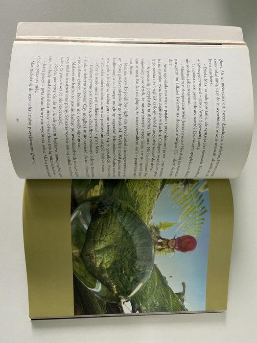 Książka Artur i Zemsta Maltazara