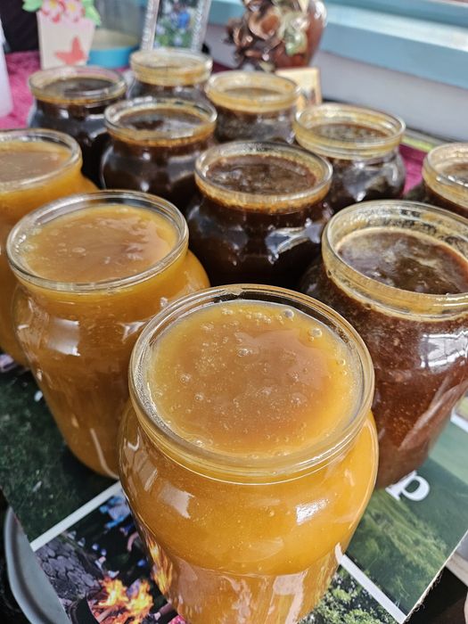 Мед натуральний, Домашня пасіка, гречаний, різнотрав'я