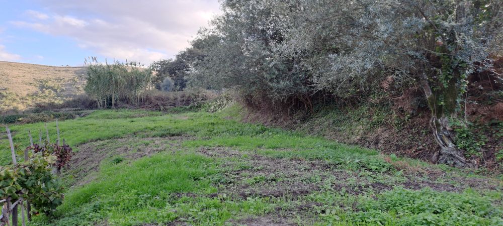 espectacular LOUSA LOURES 1.6 hectares a 15 min da capital Lisboa