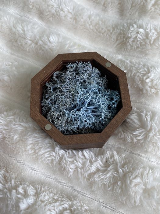 Шкатулка для прикрас