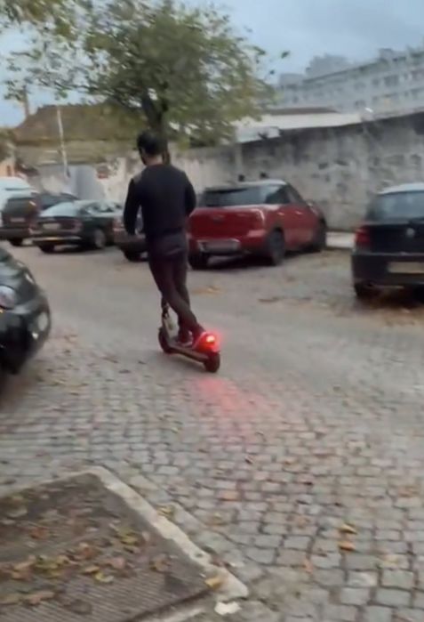 Trotinete Elétrica NIU KQi2 Pro Cinzenta