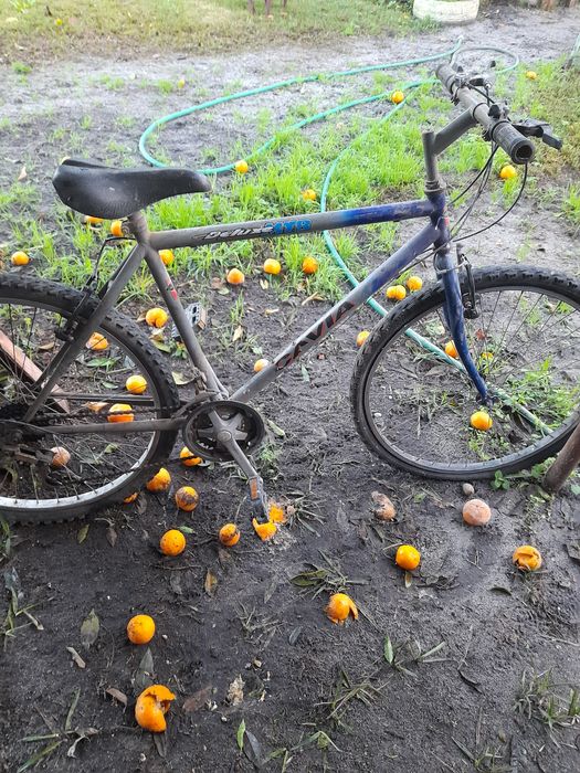 vendo bicicletade senhor