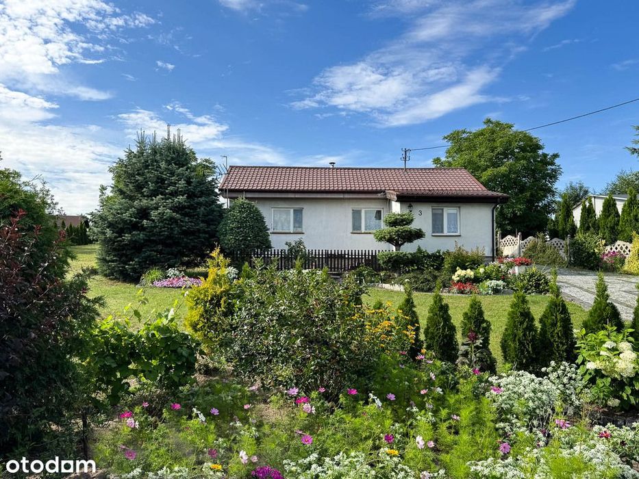 Dom – Potasze - Widok 2