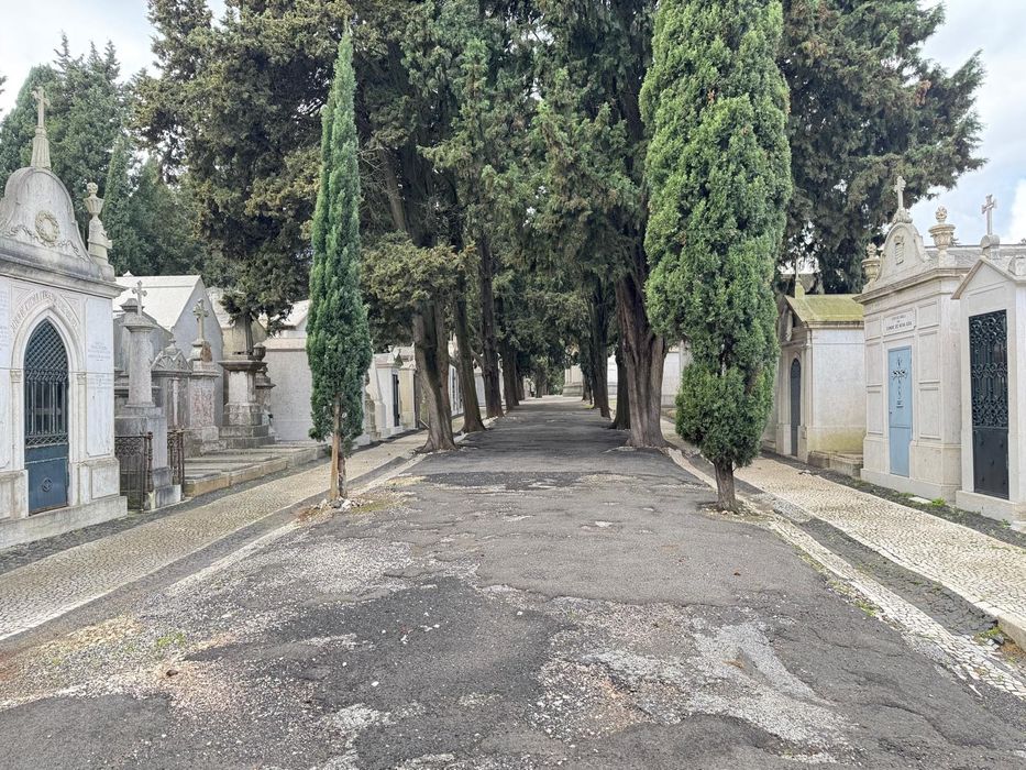 JAZIGO - Cemitério dos Prazeres - OPORTUNIDADE