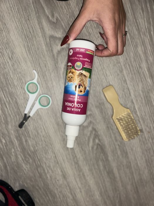 Kit Completo de Acessórios para Gato – Ótimo Estado