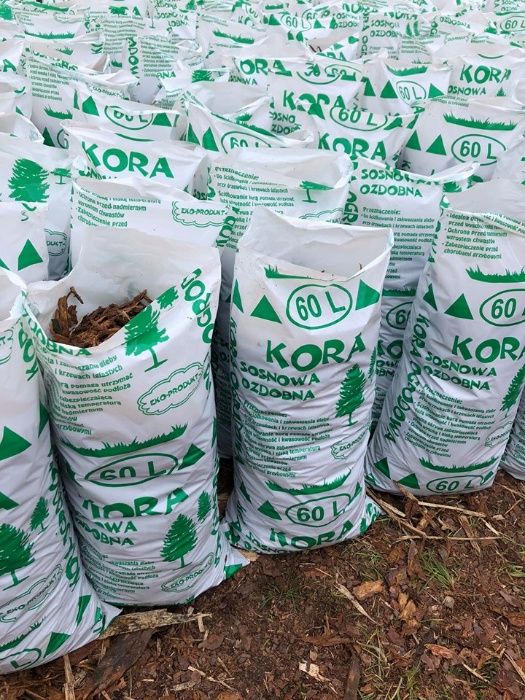 Kora Sosnowa (sortowana)