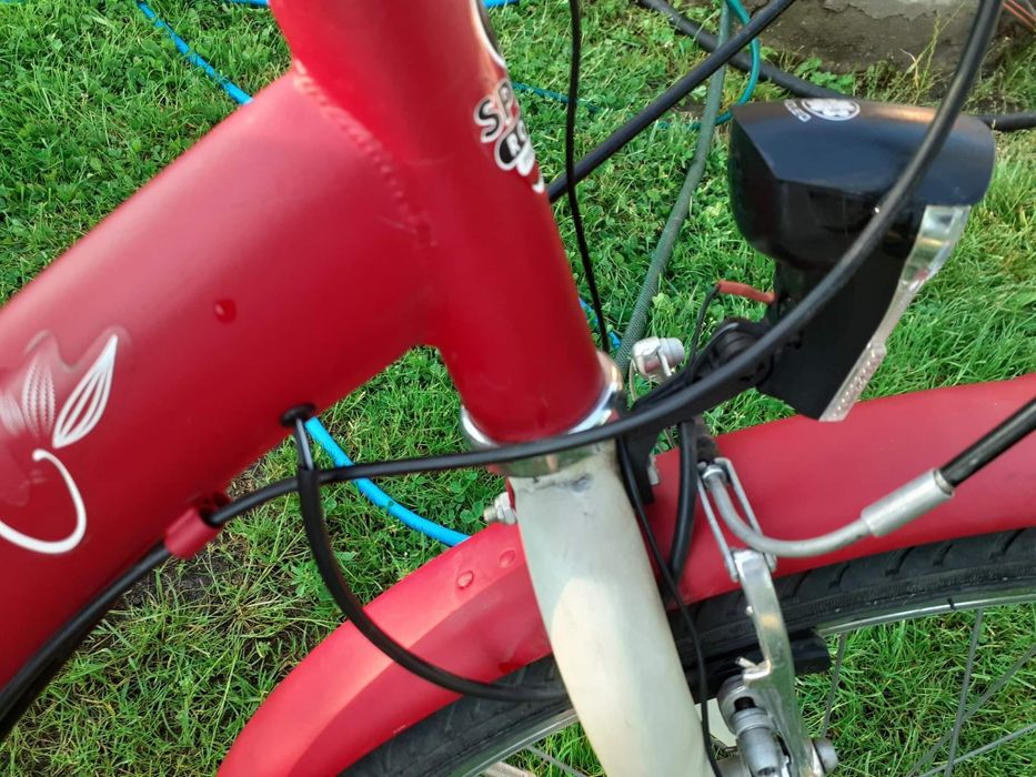 Rower damka koła 26"