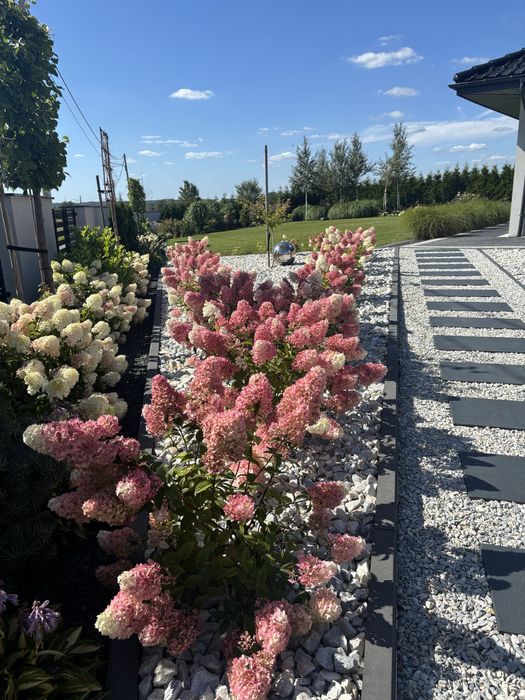 Usługi ogrodnicze - zakładanie ogrodów, pielęgnacja, przycinanie tuj