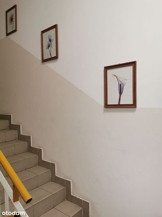 1-Pok, Parking, Balkon, Bezpośrednio