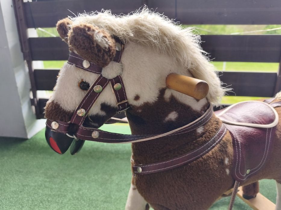 Konik Bujany, Konik na Biegunach