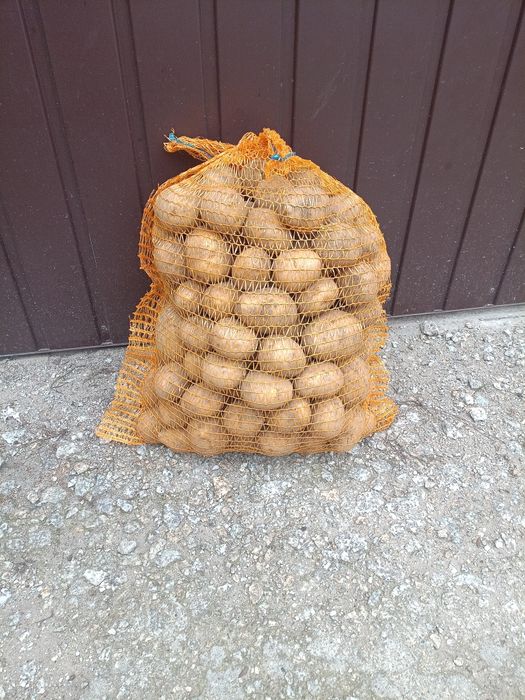Sprzedam ziemniaki jadalne
