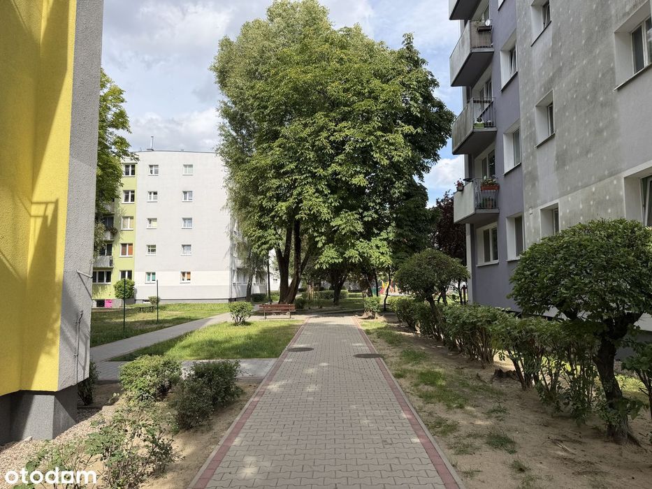 Zdjęcie 3