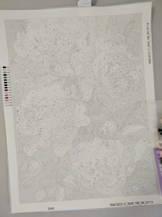 Malowanie po numerach 30x40 piwonie