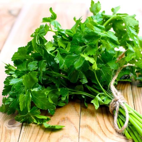 Насіння Петрушки НОВАС NOVAS Семена Петрушки