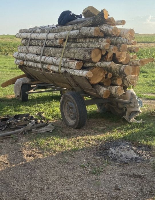 Продам дрова 650.