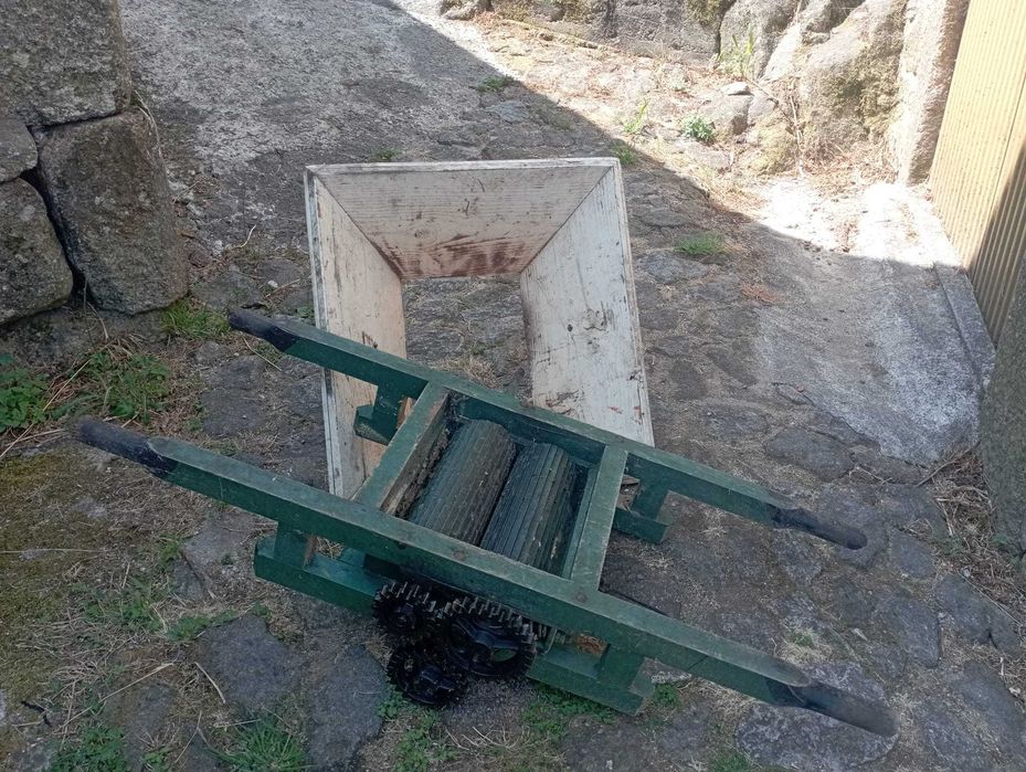 Pipas e Raladeira de uvas