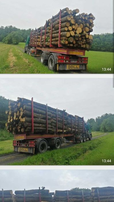 Promocja Drewno kominkowe opalowe walki dab brzoza  sosna swierk olcha