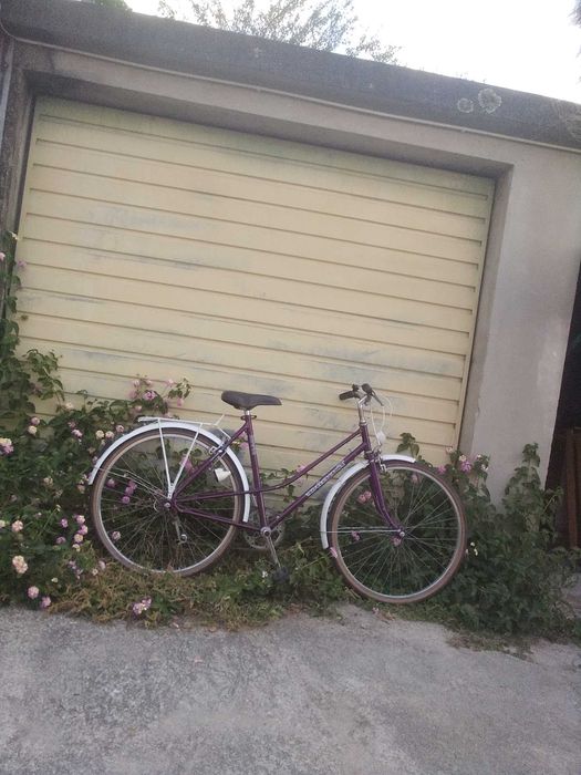 Bicicleta pasteleira francesa top bike Modelo river