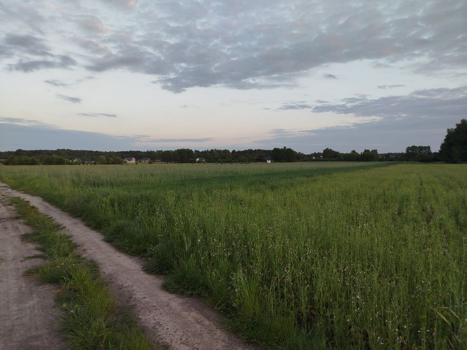 Działka 6400 M2  - strefa inwestycyjna, duży potencjał