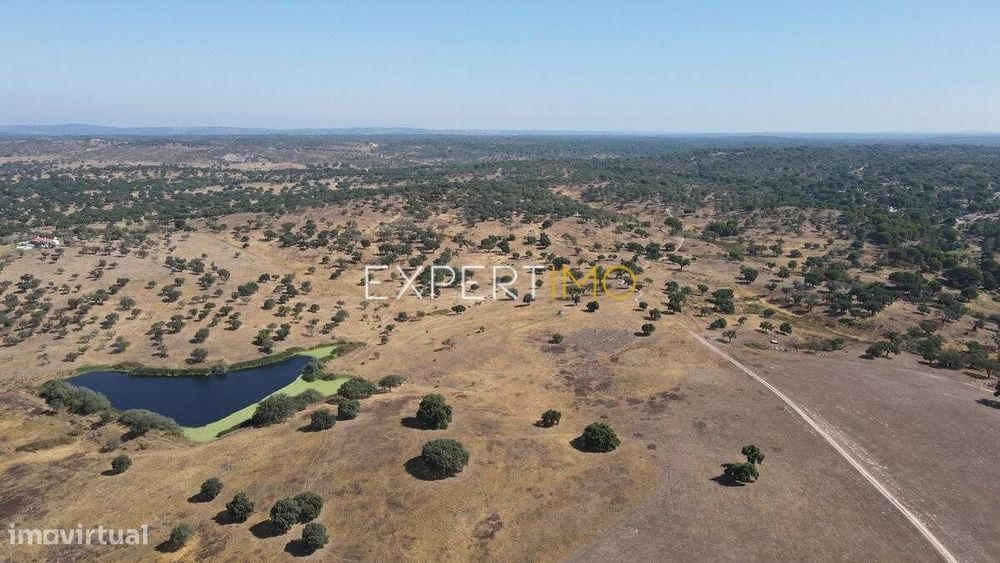 Herdade com 81,79 ha - Mora