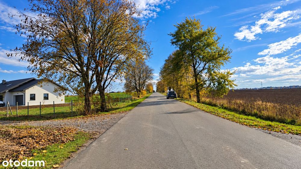 Siedliska | WZ na stałe | doskonałe wymiary | 0%
