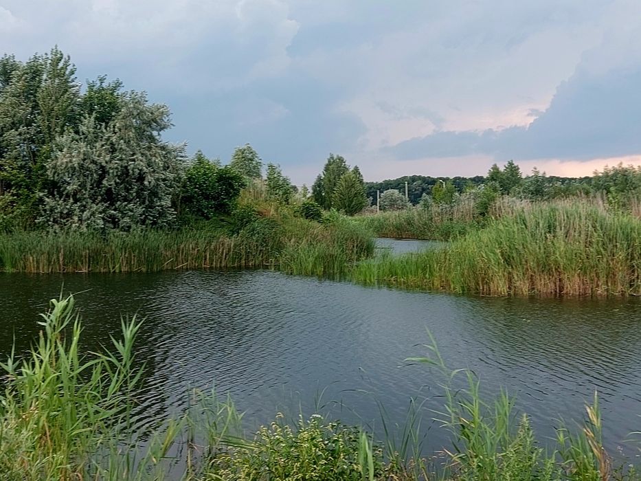 Живописна ділянка в с. Коробівка