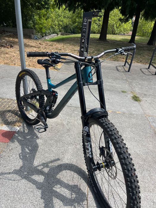 Scott gambler 910 de 2024 DH