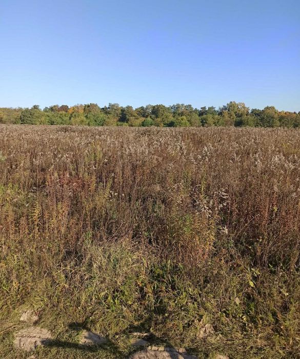 Продам ділянку 10 сот в Зарванцях