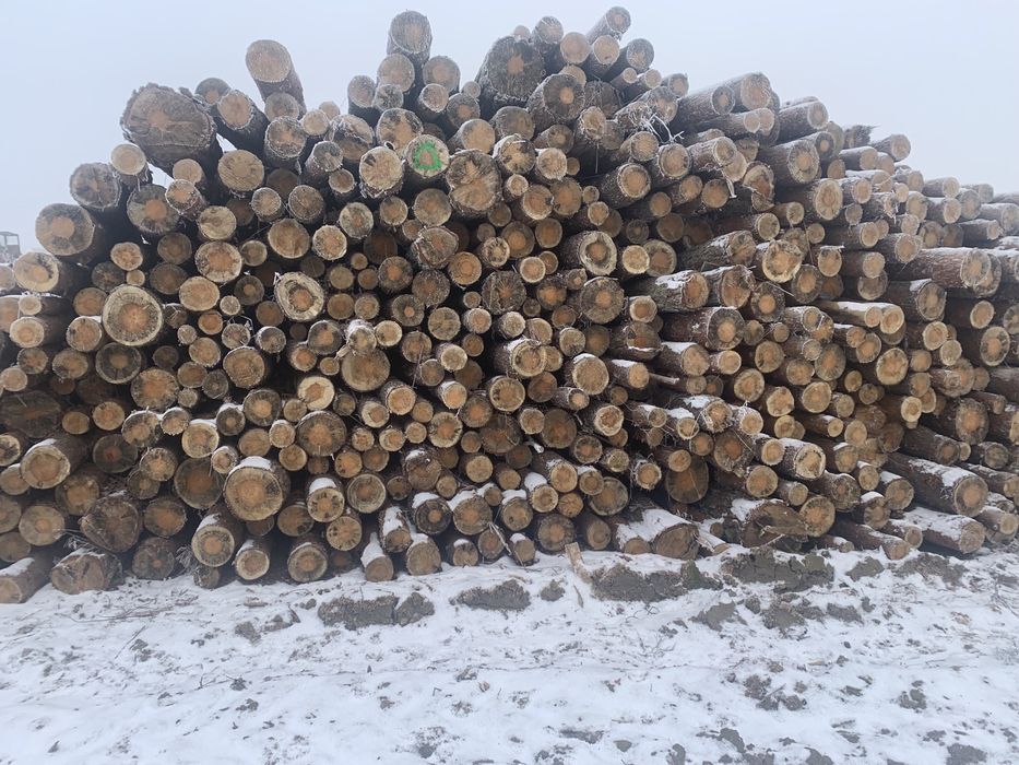 Drewno opałowe kominkowe