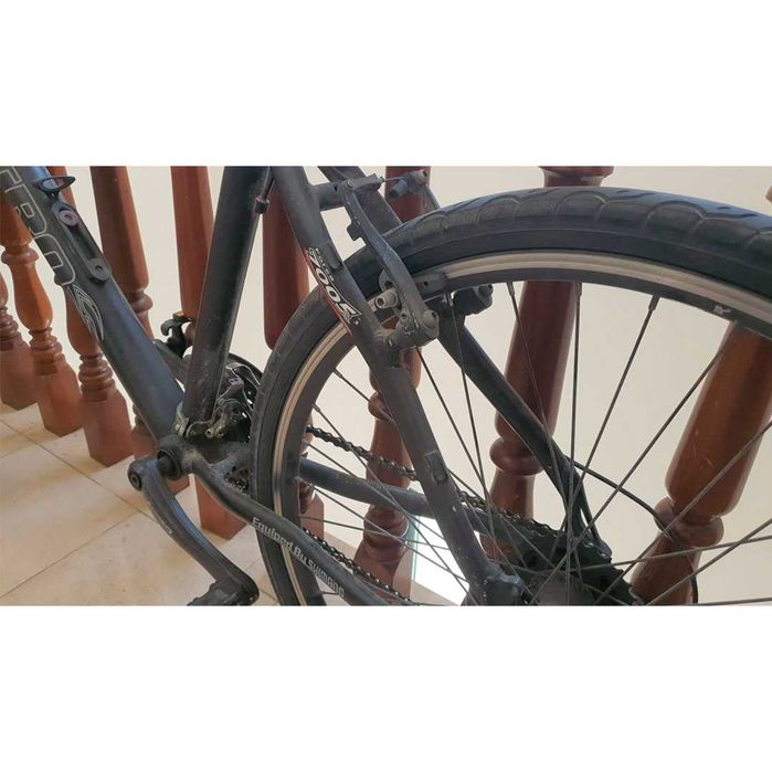 Bicicleta Astro Viper 26