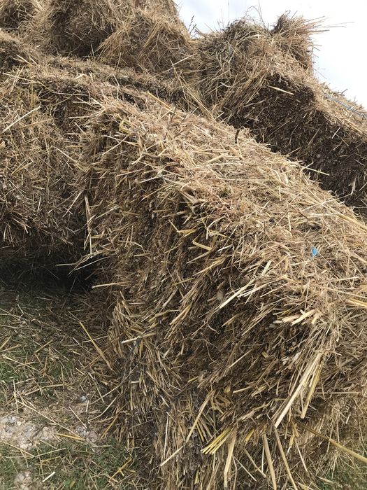 Fardos de palha deste ano