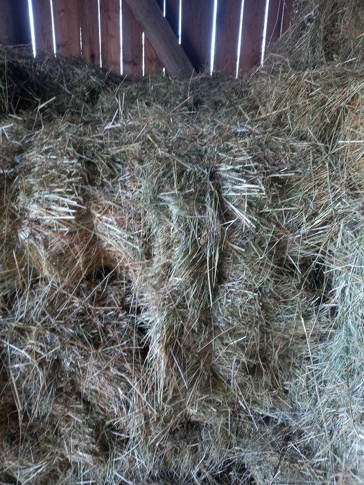 Продам тюки отави..