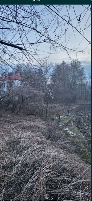 Mulczer leśny Mulczowanie Karczowanie Działek Koszenie Nieuzytkow