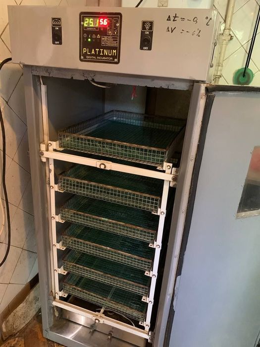 Инкубатор автоматический