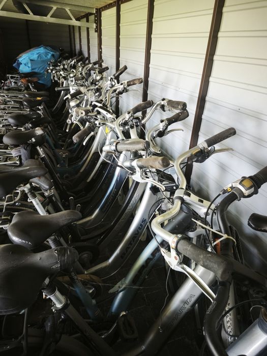 Pakiet rowerów ION Sparta Batavus 50 szt