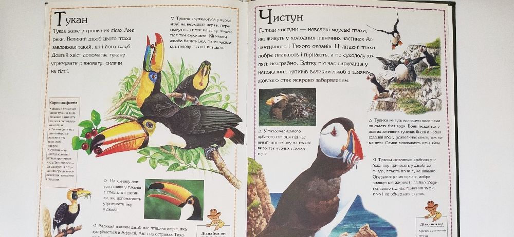 Книга  пізнавальна " Все про тварин"