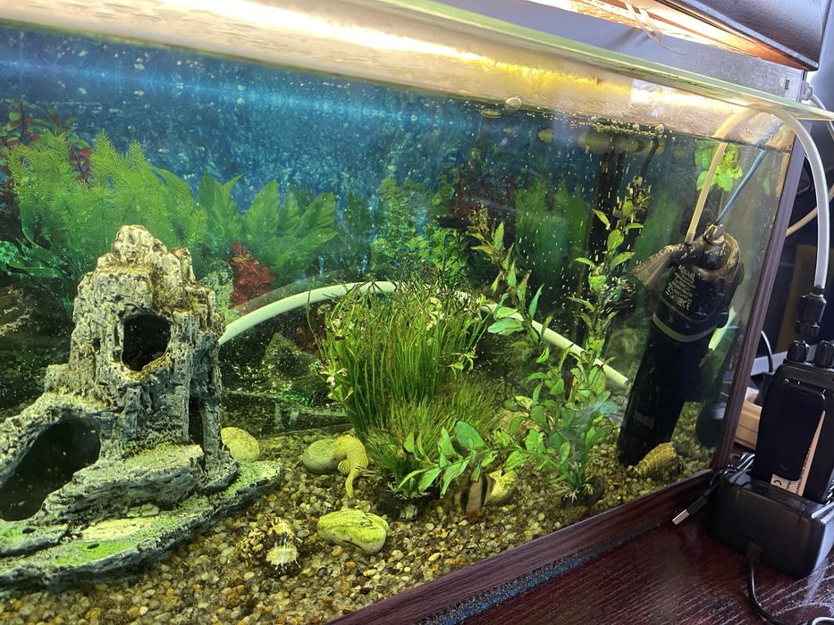 Продам акваріум