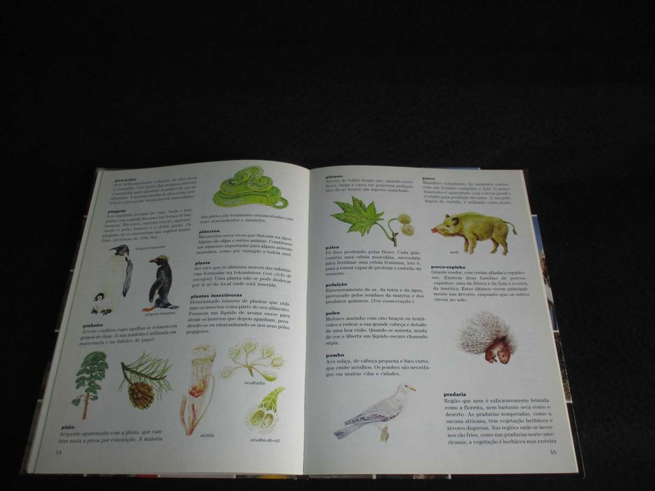 Livro Dicionário Ilustrado da Natureza Colin e Moira Maclean