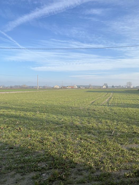 Sprzedam grunty rolne