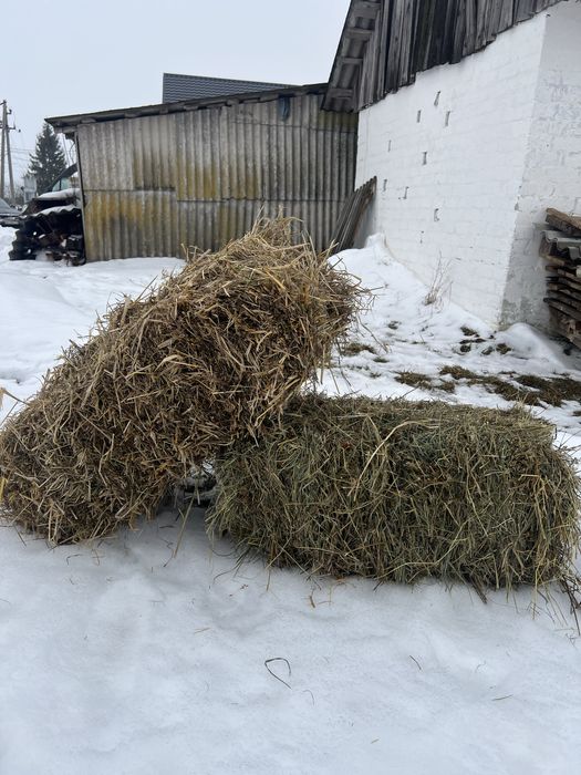 Продам сіно ,солома в тюках