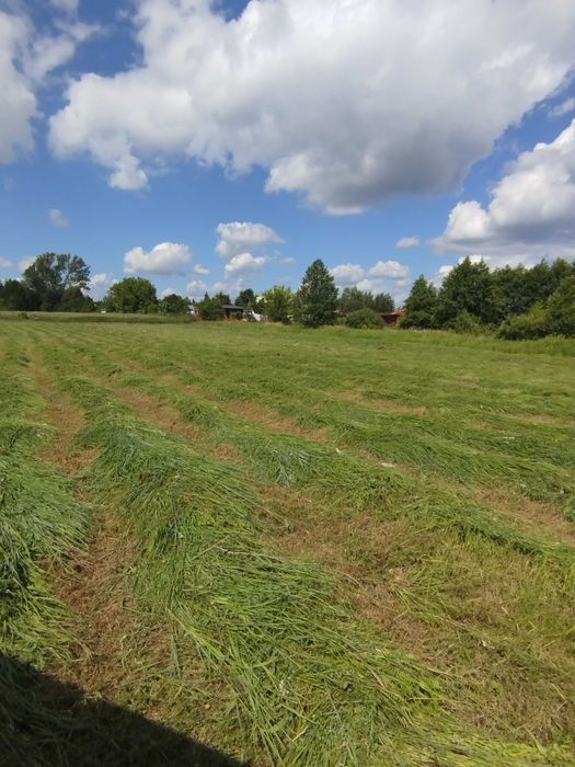 Działki Pobyłkowo Małe bezpośrednio nad rzeczką, z możliwością wykopania stawu. – pohled 4
