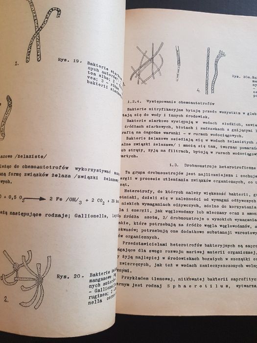 Mikrobiologia i hydrobiologia Elżbieta Kocwa