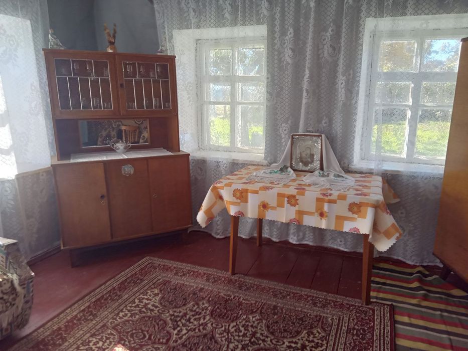 Продам будинок за Одесою Камянка