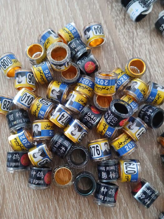 Obrączki dla gołębi 2026