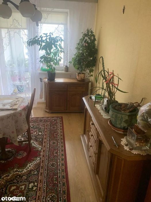 Mieszkanie na sprzedaż, 4 pokoje, 62 m², Knurów