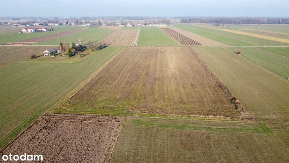 Działki budowlane od 10 do 15 arów koło Zbuczyna - Widok 5